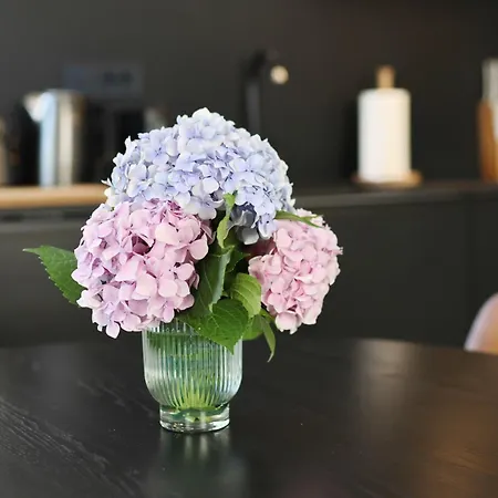 아파트 Sidra Heritage *