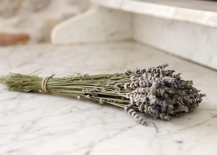 Sidra Heritage Lägenhet