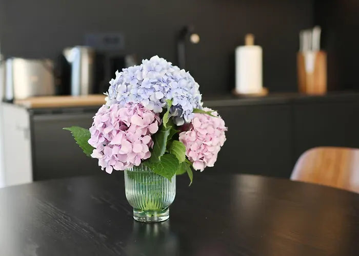 Lägenhet Sidra Heritage *